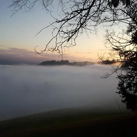 Heidegger * Eichenberg