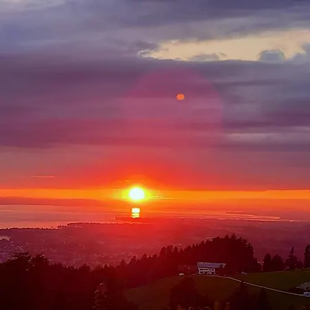 Heidegger Eichenberg