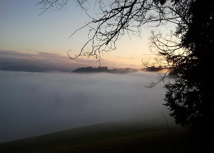 Heidegger * Eichenberg