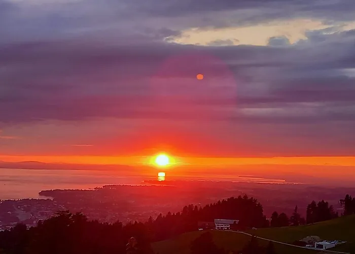 Heidegger Eichenberg